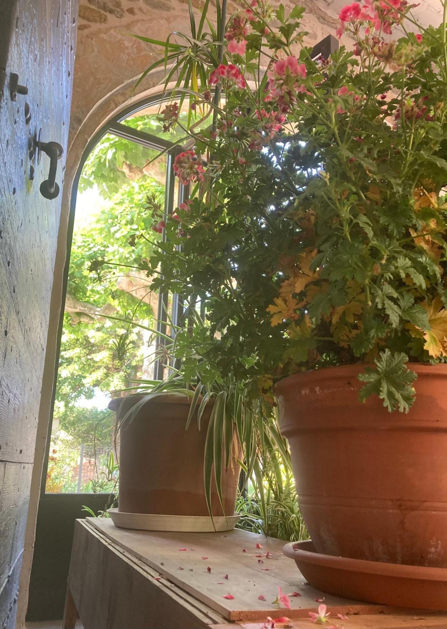 Saint-Julien-de-Peyrolas Domaine Forvent B&B 외부 사진