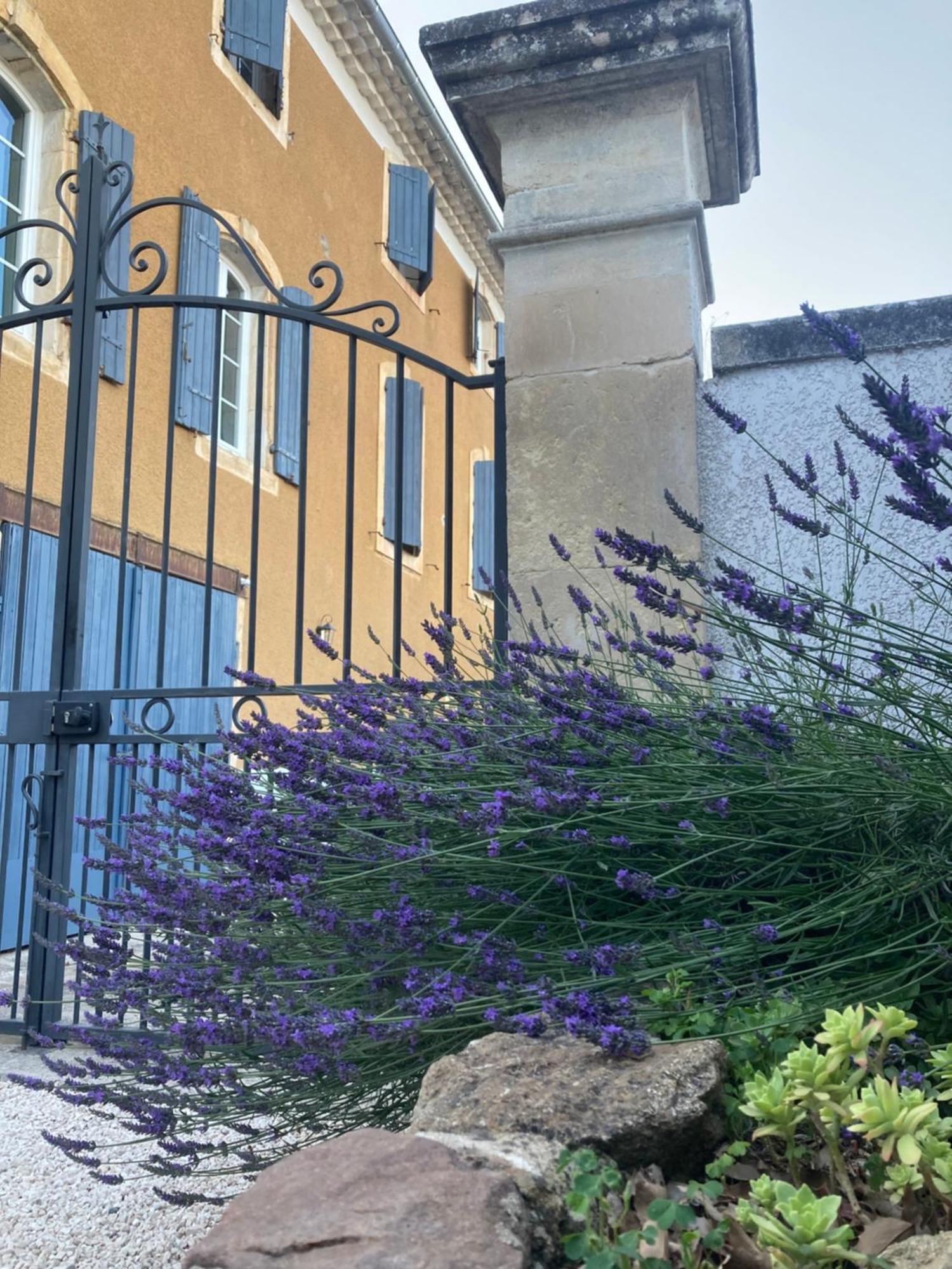 Saint-Julien-de-Peyrolas Domaine Forvent B&B 외부 사진